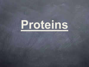 Proteins - morganfell