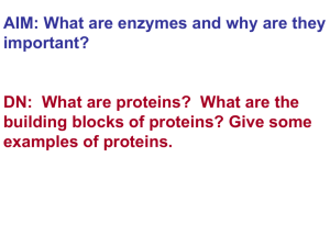 on the enzyme