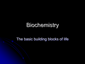 Introductory Biochemistry PowerPoint