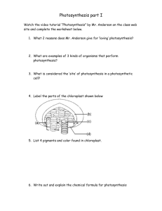 Photosynthesis part I video worksheet