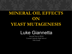 Mineral Oil Effects on Yeast Mutagenesis