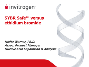 What is SYBR Safe - biosciences