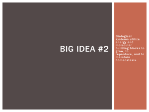 Big Idea #2