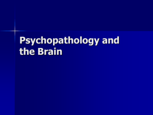 Psychopathology and the Brain