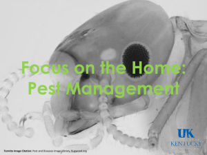 Focus on the Home: Pest Management