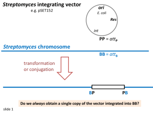Int plasmids and Homogenotization