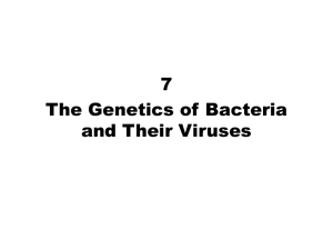 The Genetics of Bacteria and Their Viruses