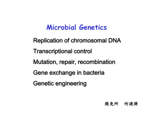 Replication of chromosomal DNA