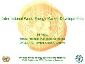 International Wood Energy Market Developments