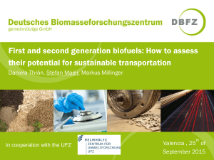 First and second generation biofuels: How to assess Stefan Majer