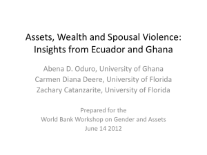 Assets, Wealth and Spousal Violence