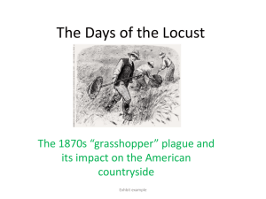 The Days of the Locust