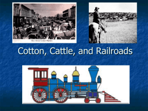 Cotton, Cattle, Rail PPT
