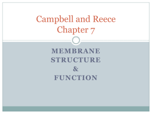 Campbell and Reece Chapter 7