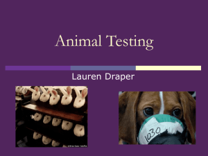 Animal testing 2
