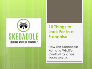 10 things To Look For In A Franchise, and How The Skedaddle
