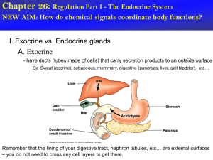 endocrine, reproduction, development