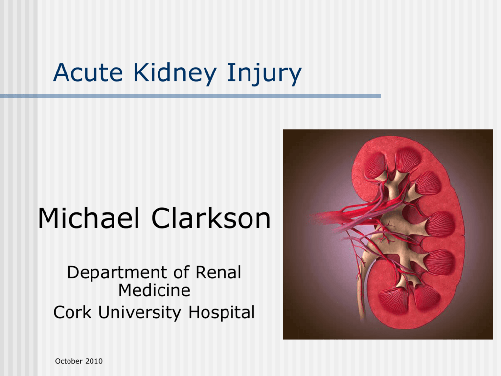 Кидней. Acute Kidney injury antioxidants.