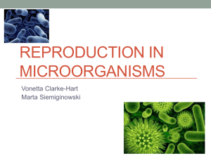 Reproduction in Microorganisms - rosanna23
