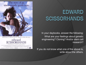 Edward Scissorhands - MultiMediaPortfolio