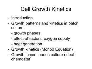 growth phases
