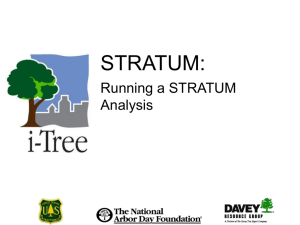 Running a STRATUM Analysis - i-Tree