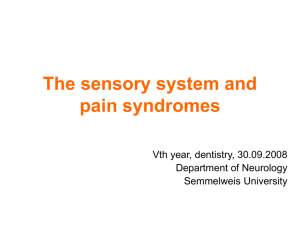 The sensory system