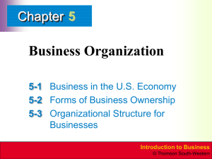 Chapter 5 Business Organization