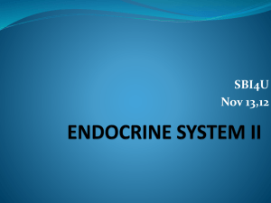 ENDOCRINE SYSTEM ii