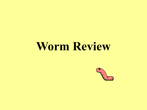 Worm Review - local.brookings.k12.sd.us