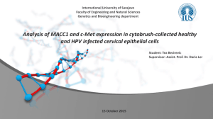 Tea Becirevic presentation - Genetics and Bioengineering