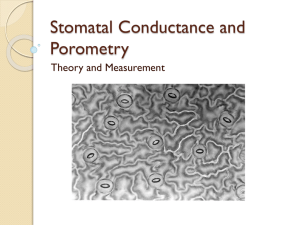 Stomatal Conductance and Porometry