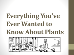 Plant PowerPoint