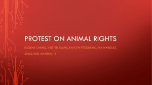 Protest on Animal Rights