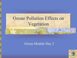 Ozone Pollution Effects on Vegetation