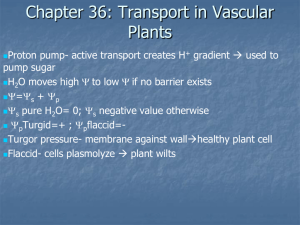 Chapter 36: Transport in Vascular Plants
