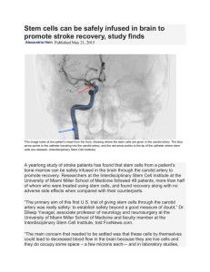 Stem cells can be safely infused in brain to promote stroke