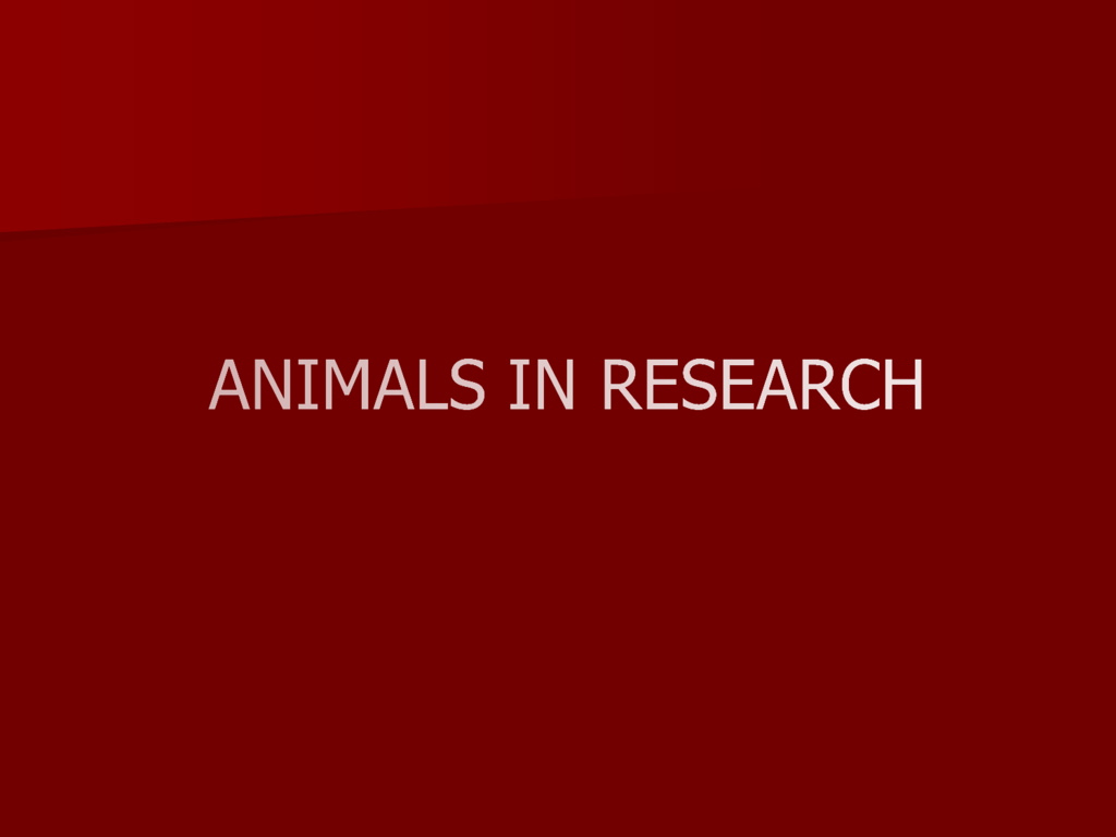 Animals in Research Ppt