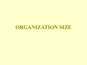 ORGANIZATION SIZE
