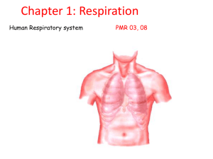 Chapter 1: Respiration