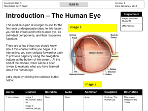 The Human Eye - Patricia (Patti) Taylor