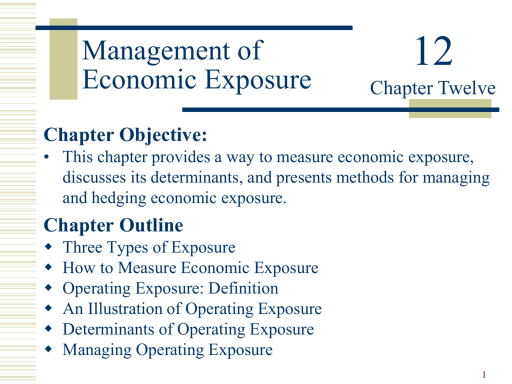 economic exposure example