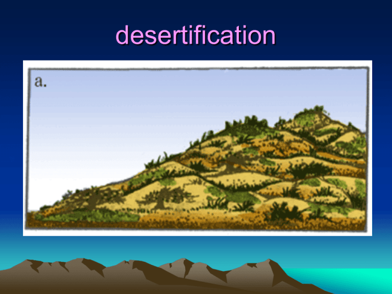 desertification