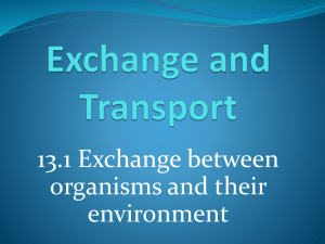 13.1 Exchange between organisms and their environment