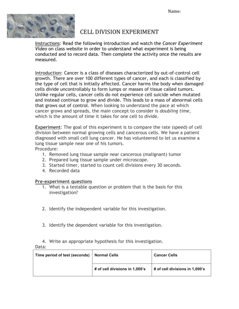 research paper about cell division