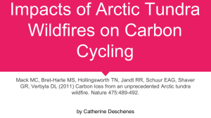 Impacts of Arctic Tundra Wildfires on Carbon Cycling
