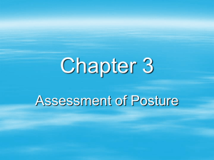Chapter 3 - Assessment of Posture