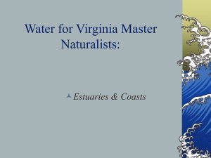 Water Quality for Virginia Master Gardeners