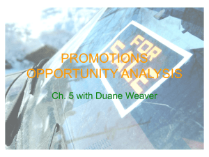 PROMOTIONS OPPORTUNITY ANALYSIS