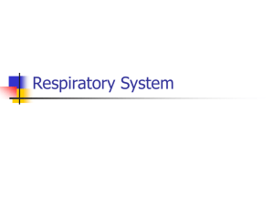 Respiratory PPS